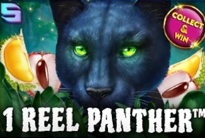 1 Reel Panther